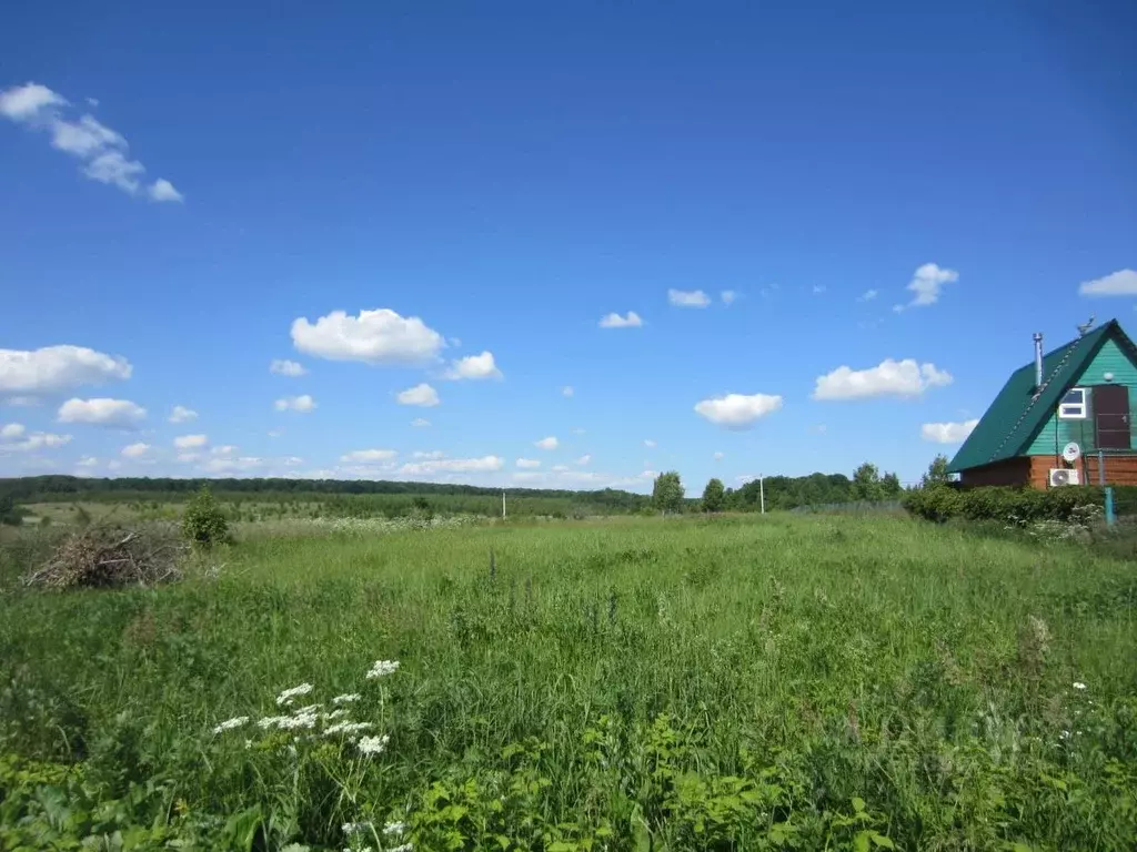 Участок в Московская область, Серебряные Пруды муниципальный округ, д. ... - Фото 1
