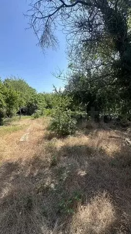 Дача 58,5 м на участке 6,5 сот. - Фото 0