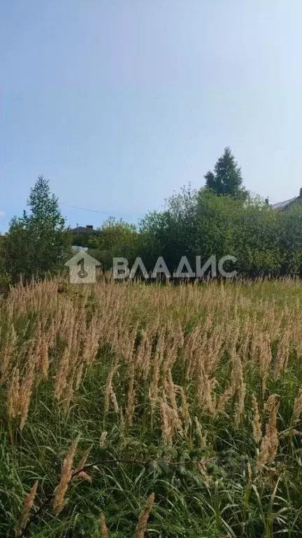 Участок в Татарстан, Казань Залесный садоводческое товарищество,  (4.0 ... - Фото 1