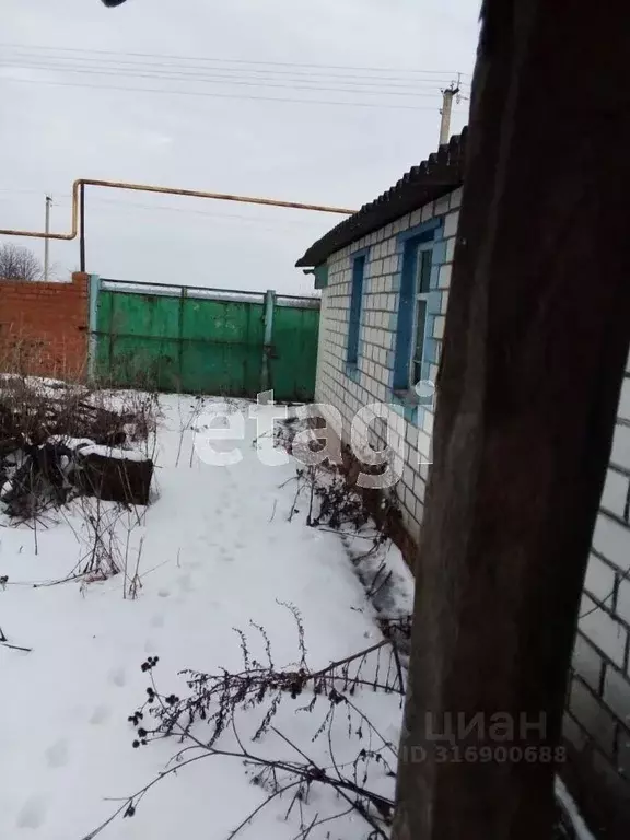 Дом в Белгородская область, Красногвардейский район, Палатовское ... - Фото 0