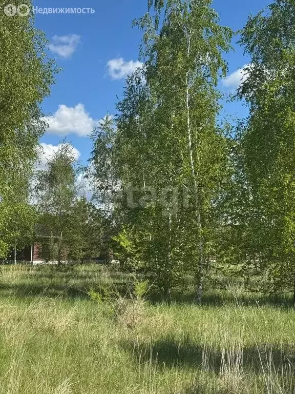 Участок в село Новая Усмань, Виноградный переулок (15 м) - Фото 1