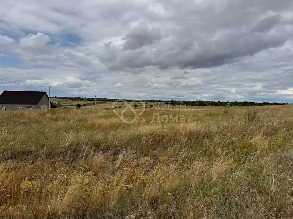 Участок в Волгоградская область, Среднеахтубинский район, ... - Фото 2