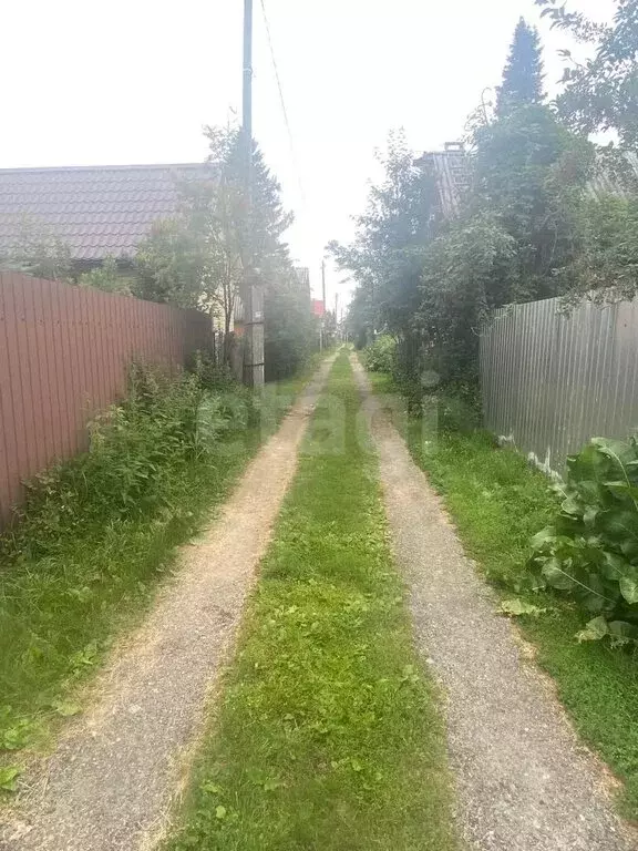 Участок в Тюмень, садовое товарищество Вишенка, Зелёная улица (4.12 м) - Фото 1