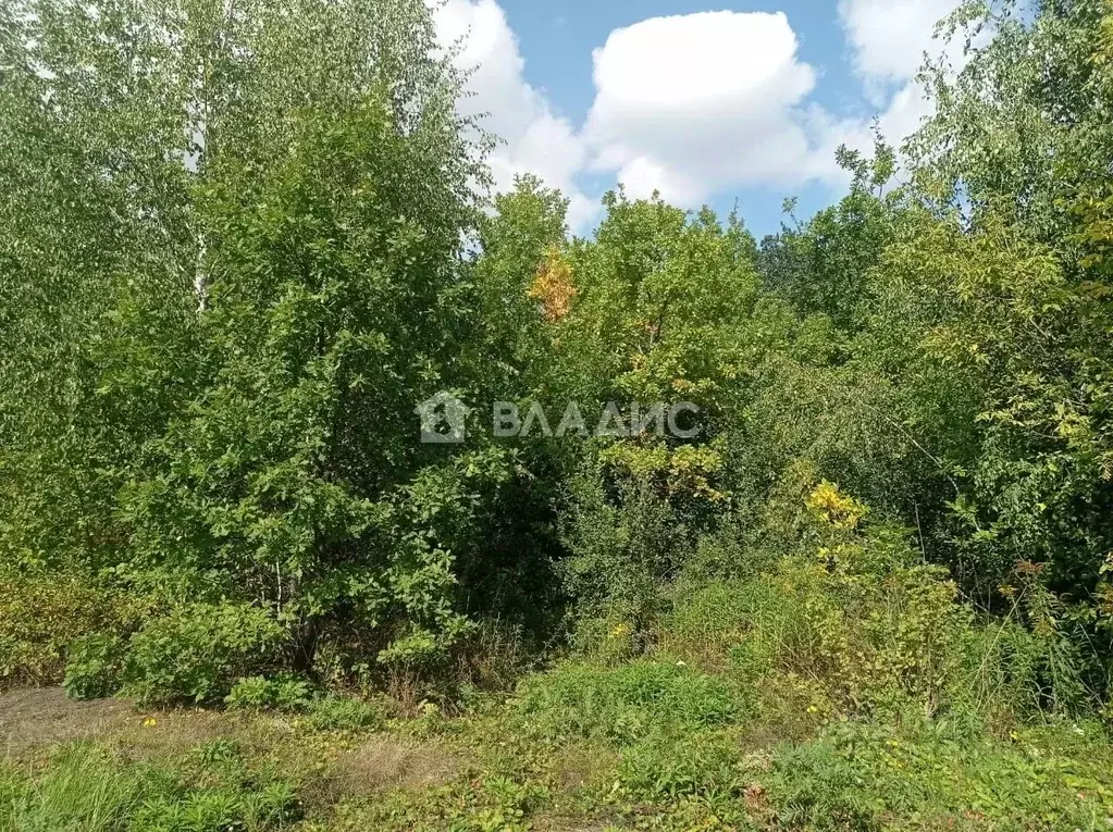 Участок в Пензенская область, Бессоновский район, Элита садоводческое ... - Фото 1