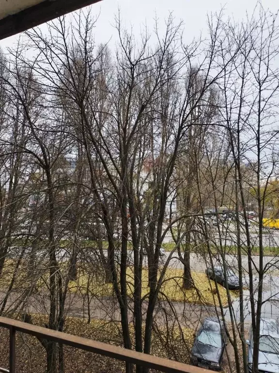 2-к кв. Курская область, Курск ул. Косухина, 1 (47.0 м) - Фото 1