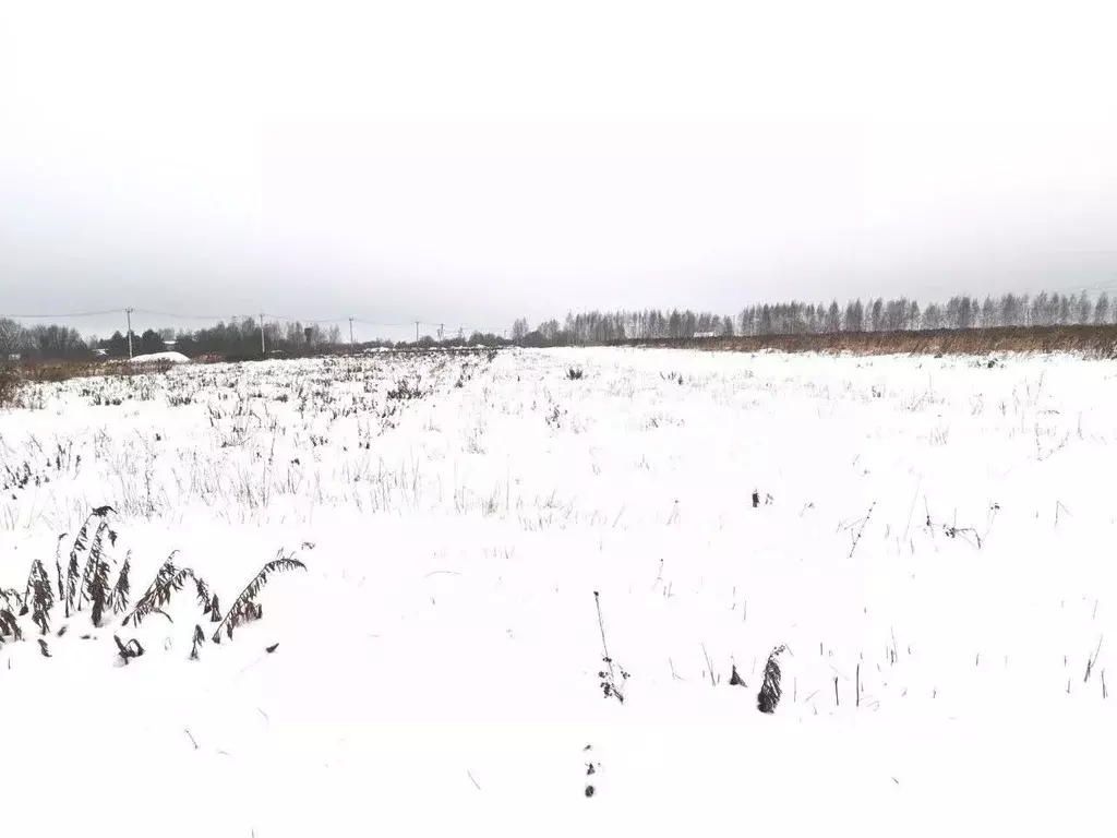 Участок в Нижегородская область, Дальнеконстантиновский муниципальный ... - Фото 1
