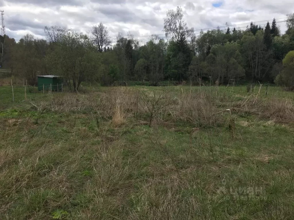 Участок в Московская область, Пушкинский городской округ, д. Раково  ... - Фото 0