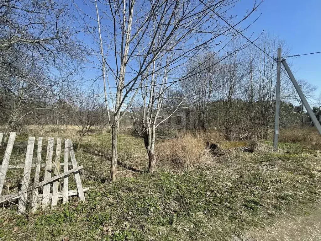 Участок в Смоленская область, Кардымовский муниципальный округ, ... - Фото 1