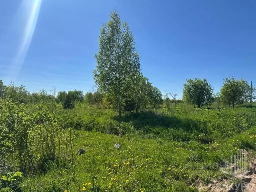 Участок в Пермский край, Пермский муниципальный округ, д. Заполье ул. ... - Фото 2