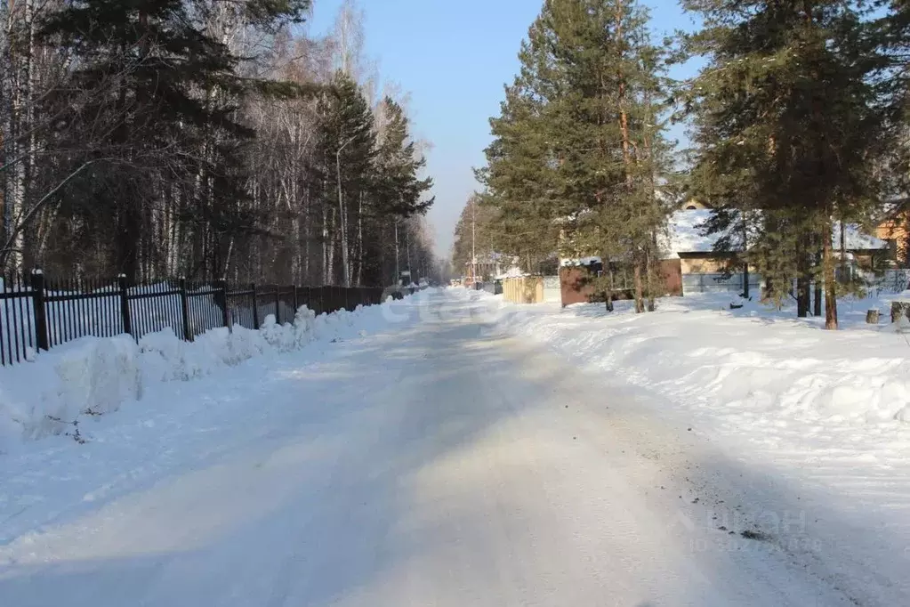 Участок в Новосибирская область, Новосибирск Серебряный лес кп,  (14.0 ... - Фото 1