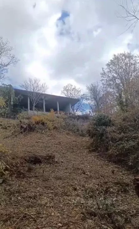 Участок в Краснодарский край, Сочи городской округ, с. Беранда ул. ... - Фото 0