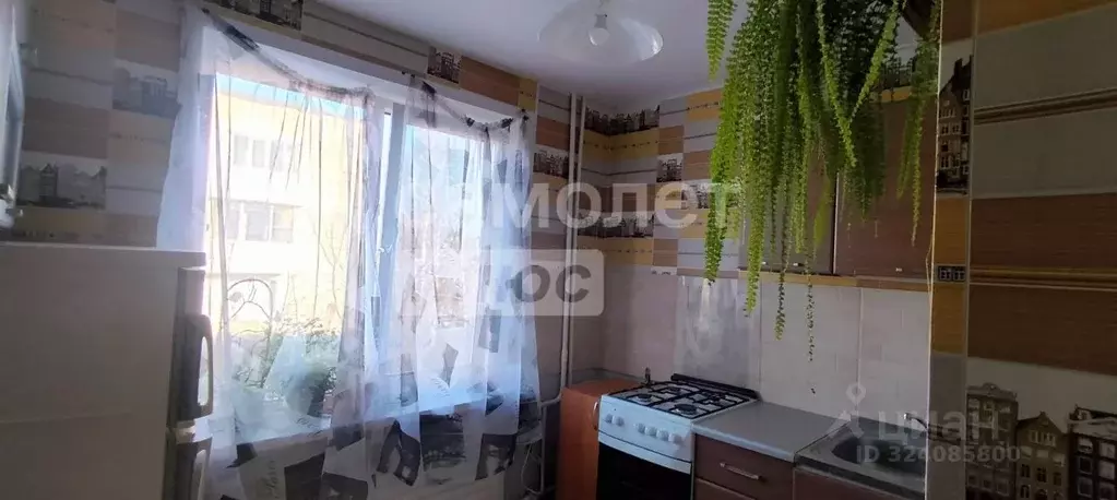 2-к кв. Пермский край, Краснокамск ул. Энтузиастов, 5А (36.8 м) - Фото 1