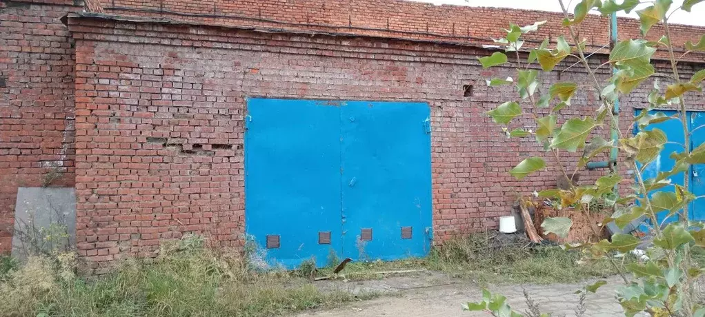 Помещение свободного назначения в Омская область, Омск просп. Мира, ... - Фото 1