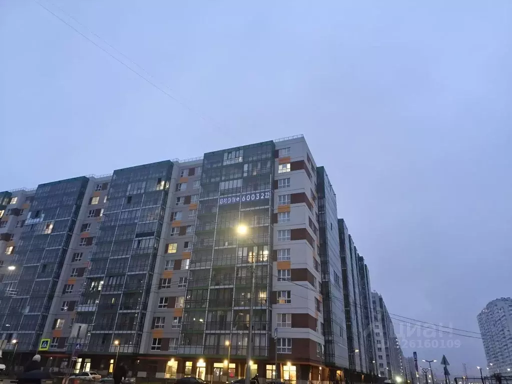 Студия Санкт-Петербург пос. Шушары, просп. Старорусский, 11 (25.0 м) - Фото 1