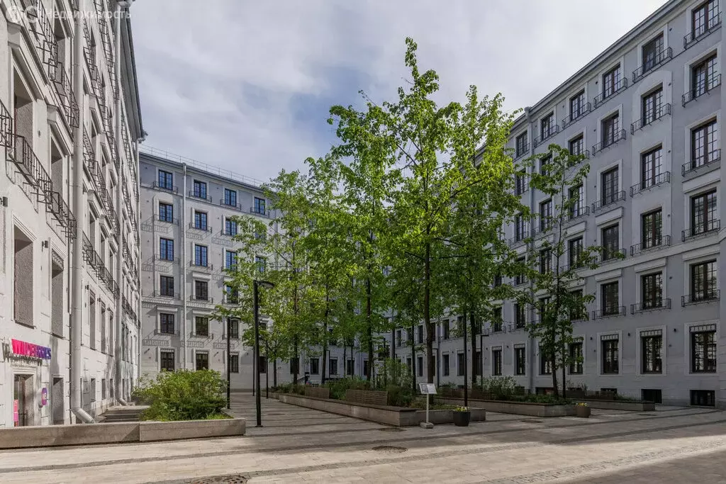 Помещение свободного назначения (52.5 м) - Фото 1