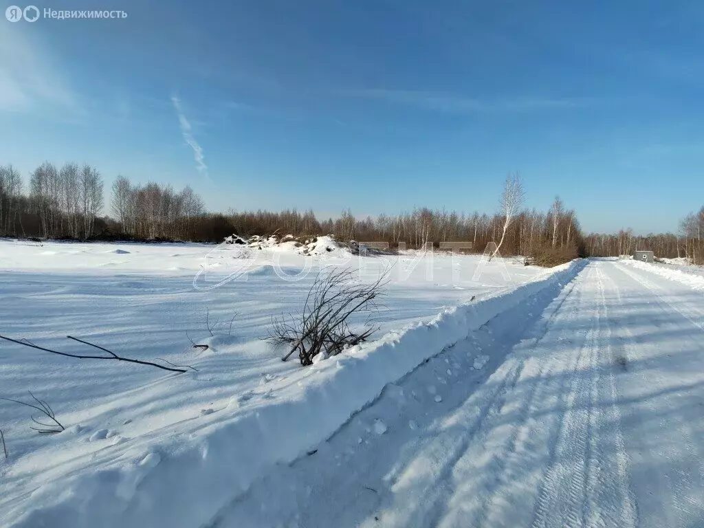 Участок в Нижнетавдинский район, садоводческое некоммерческое ... - Фото 1