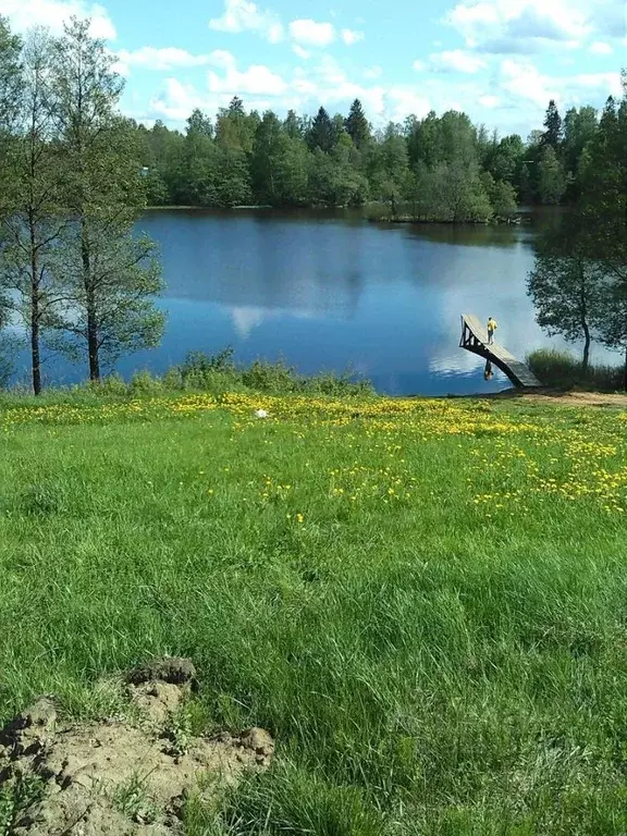 Участок в Ленинградская область, Приозерский район, Сосновское с/пос, ... - Фото 1