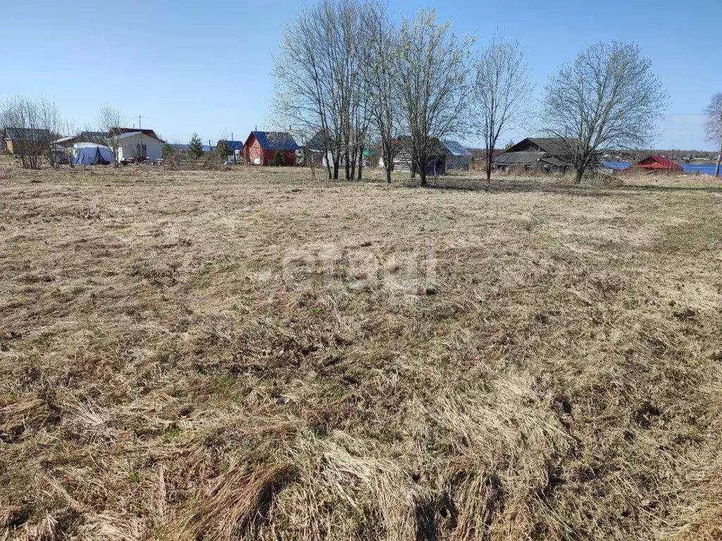 Участок в Вологодская область, Шекснинский муниципальный округ, д. ... - Фото 2