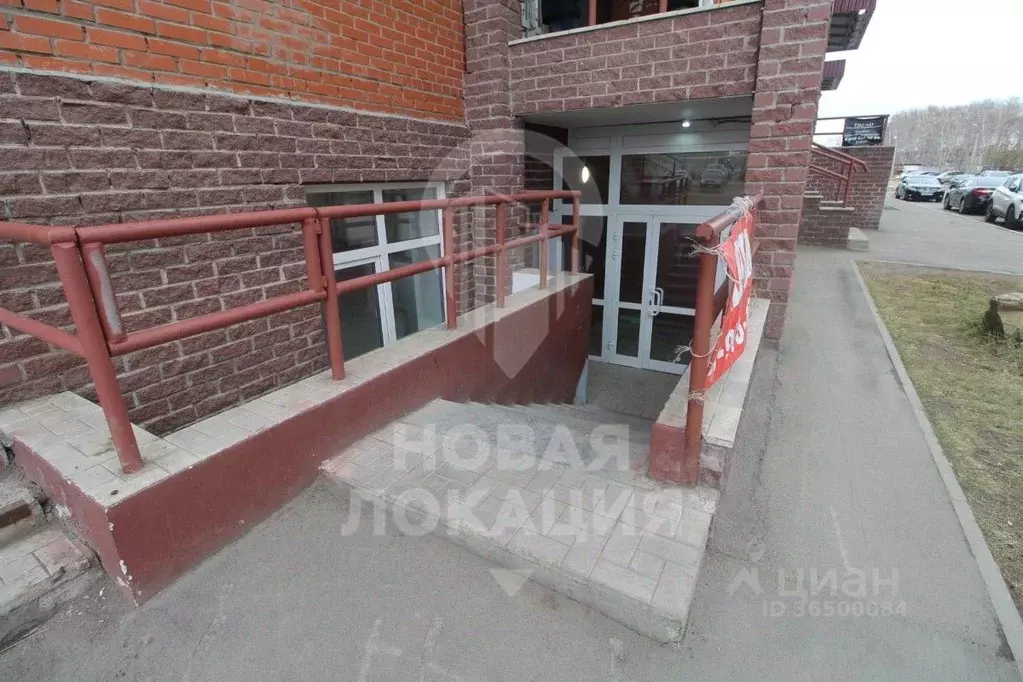 Помещение свободного назначения в Омская область, Омск Звездная ул., ... - Фото 1