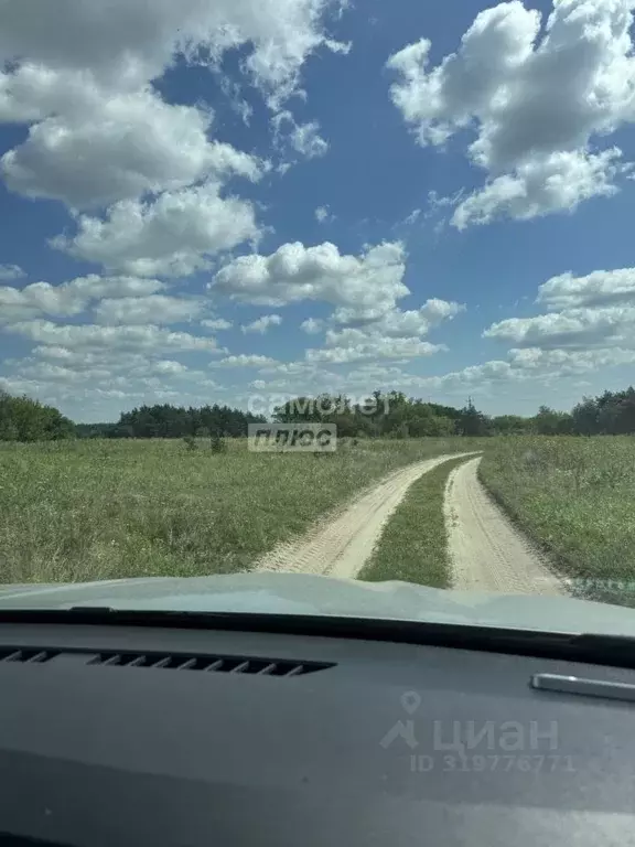 Участок в Курская область, Октябрьский район, Большедолженковский ... - Фото 2