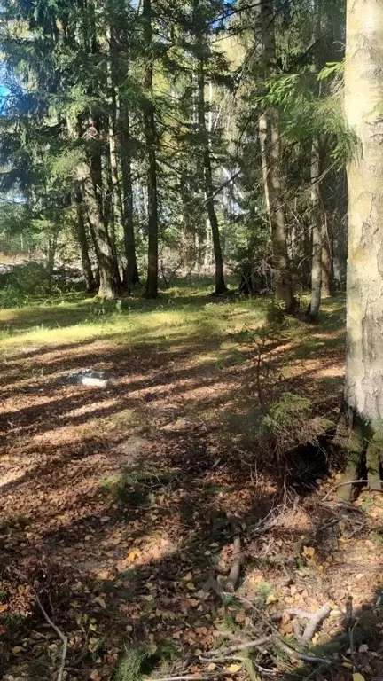 Участок в Московская область, Наро-Фоминский городской округ, Прибор ... - Фото 2