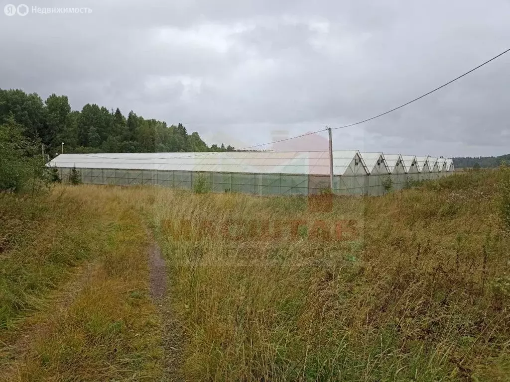 Участок в Ленинградская область, Выборг (1000 м) - Фото 1