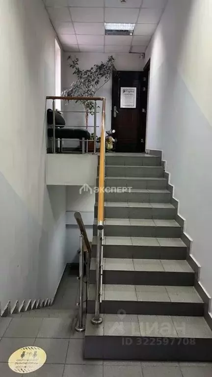 Помещение свободного назначения в Московская область, Павловский Посад ... - Фото 2