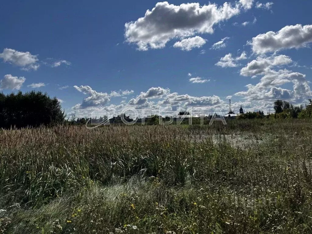 Участок в Тюменская область, Тюменский район, с. Созоново  (403.12 ... - Фото 1