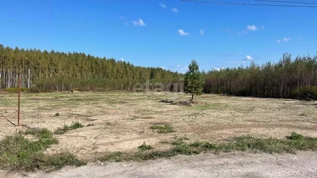 Участок в Нижегородская область, Кстовский муниципальный округ, с. ... - Фото 0