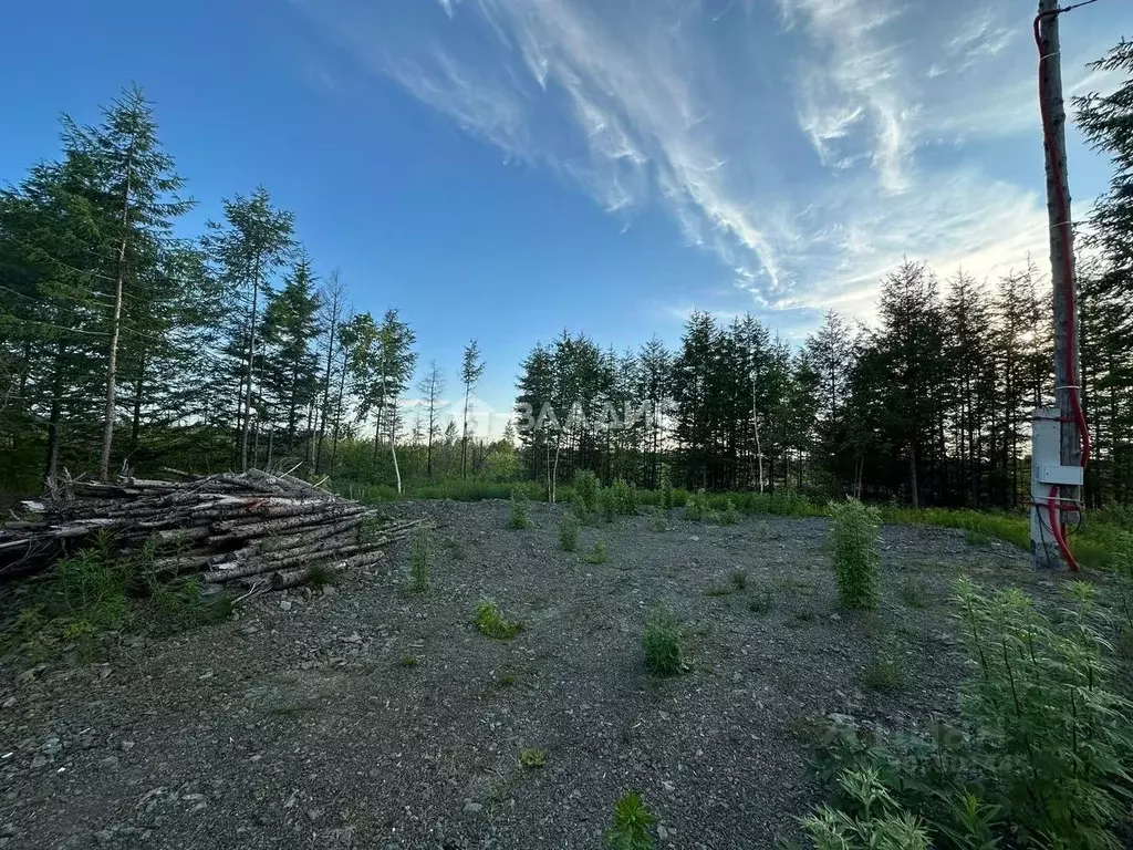 Участок в Сахалинская область, Анивский городской округ, с. Мицулевка ... - Фото 1