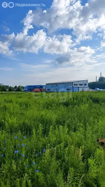 Участок в село Первомайский, Малая Кольцевая улица (25.19 м) - Фото 1