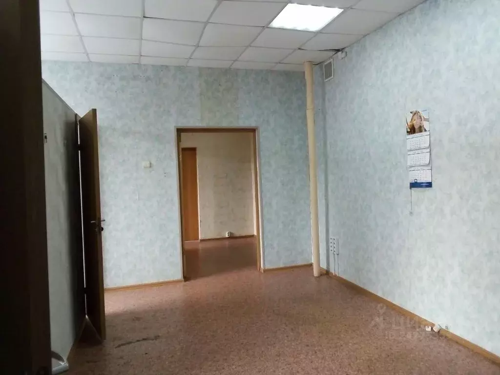 Офис в Новосибирская область, Новосибирский район, Краснообск рп ул. ... - Фото 0