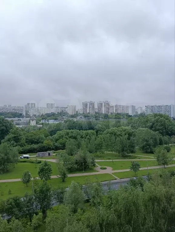 1-к. квартира, 47 м, 10/10 эт. - Фото 1