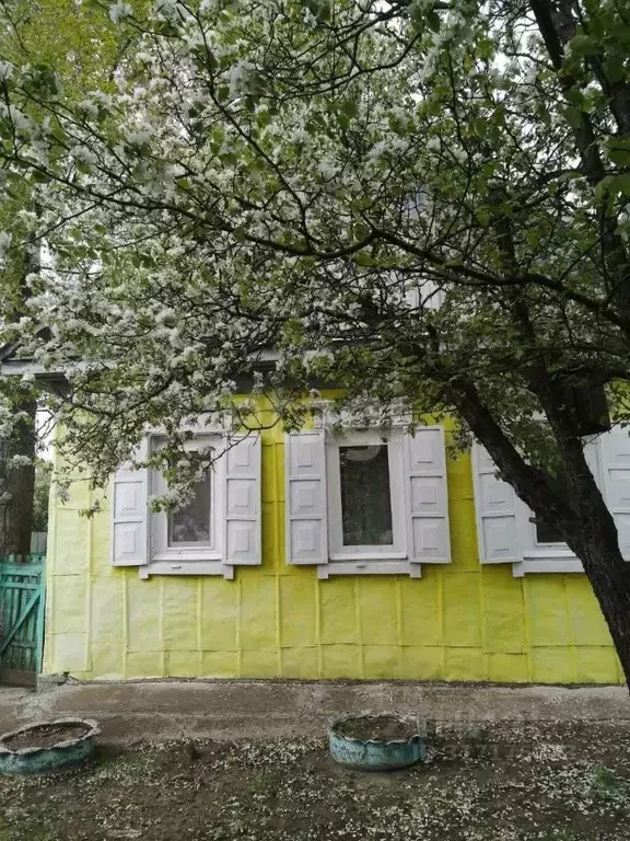 Дом в Амурская область, Ивановский муниципальный округ, с. Среднебелая ... - Фото 0