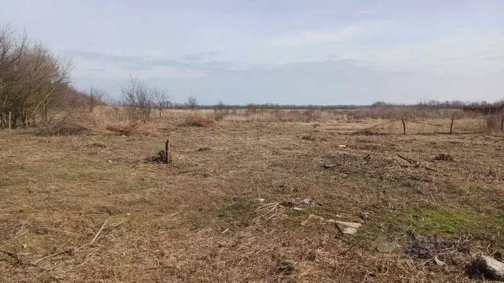 Участок в Краснодарский край, Динской район, Новотитаровское с/пос, с. ... - Фото 2