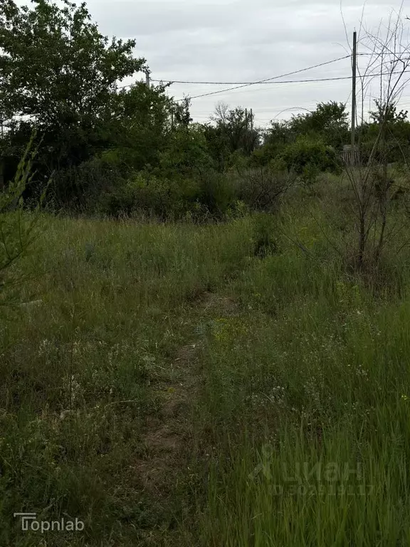 Участок в Волгоградская область, Городищенское городское поселение, ... - Фото 2