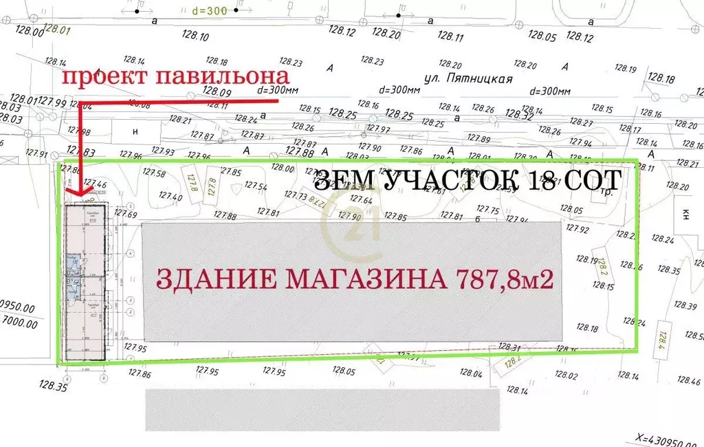 Торговая площадь в Тамбовская область, Тамбов Пятницкая ул., 12 (788 ... - Фото 2