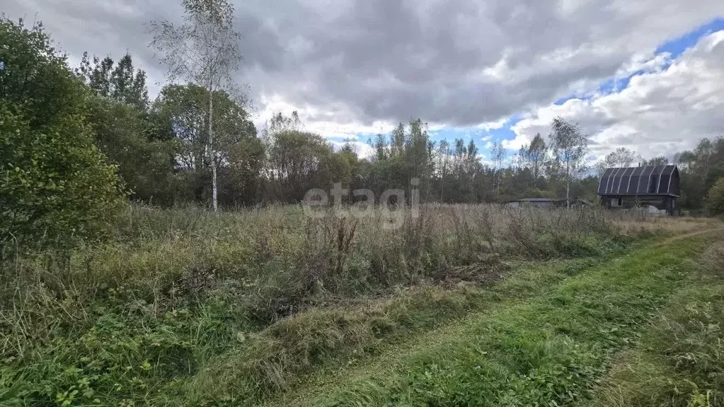 Участок в Ленинградская область, Киришский район, Будогощское ... - Фото 1