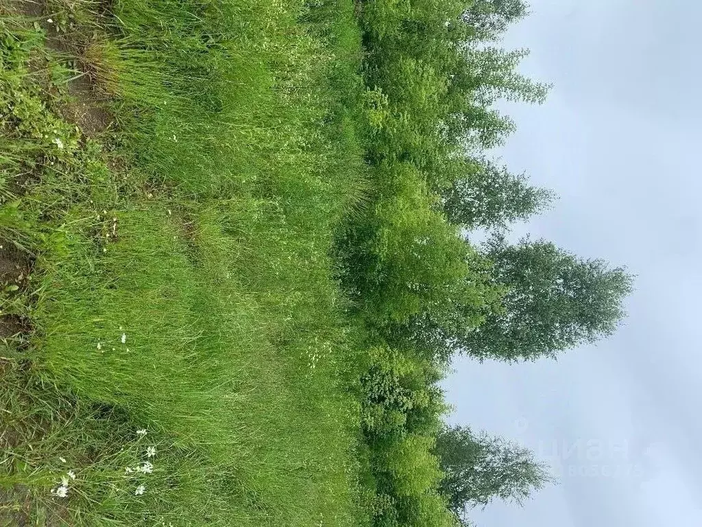 Участок в Калужская область, Дзержинский район, пос. Пятовский ул. ... - Фото 2