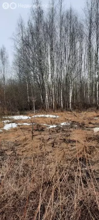 Участок в Смоленский муниципальный округ, садовое некоммерческое ... - Фото 1