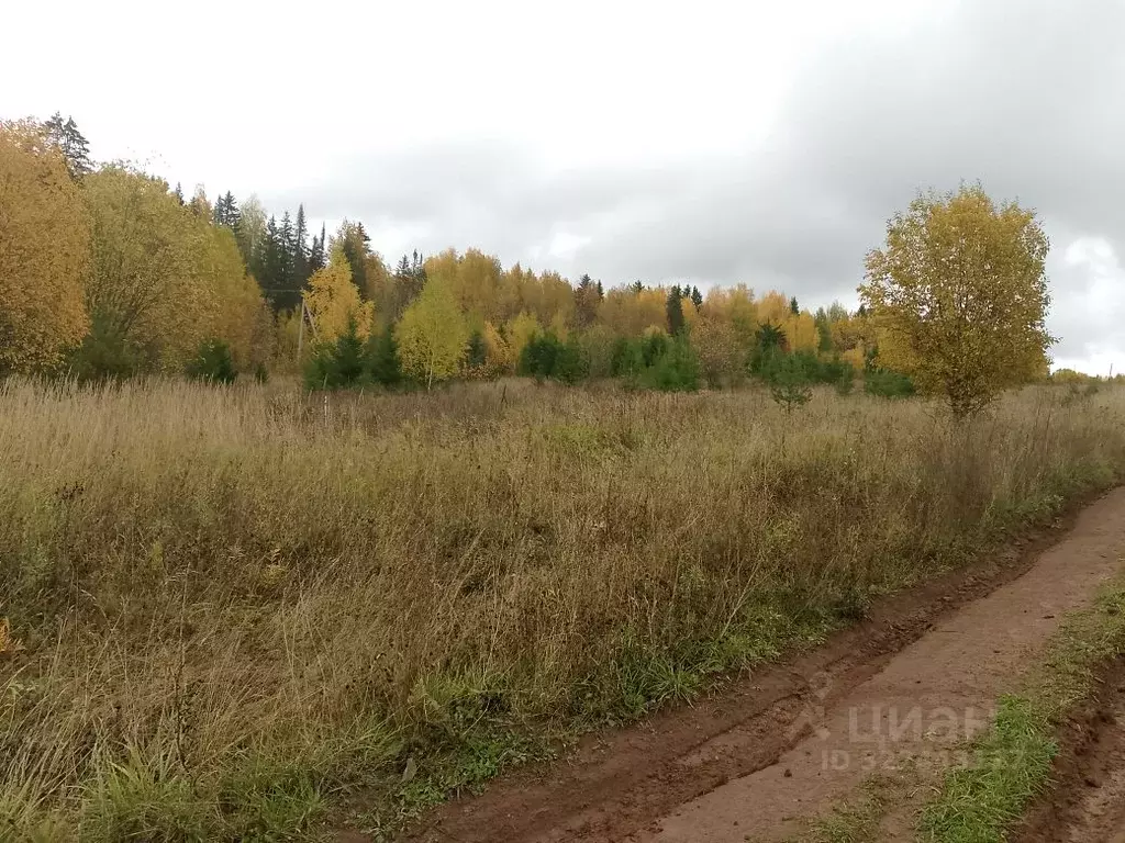 Участок в Пермский край, Пермский муниципальный округ, д. Степаново  ... - Фото 2