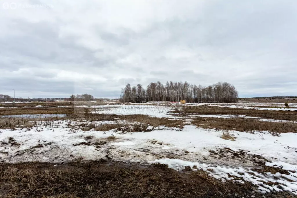 Участок в Тюменский район, село Каменка (9 м) - Фото 1