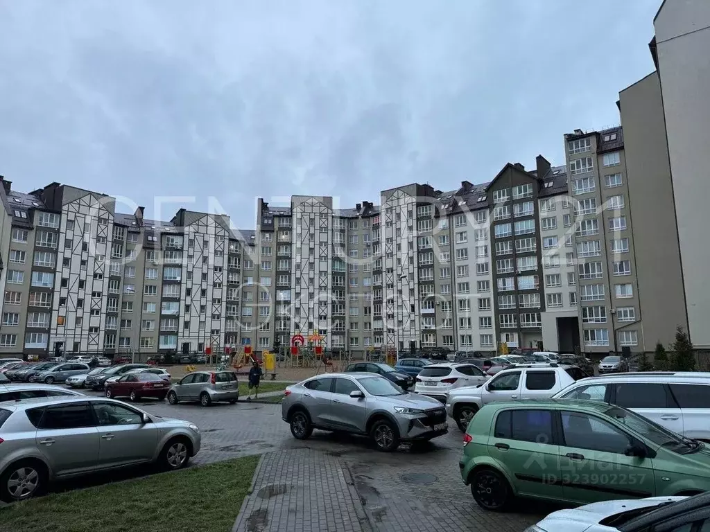 Помещение свободного назначения в Калининградская область, Гурьевский ... - Фото 1