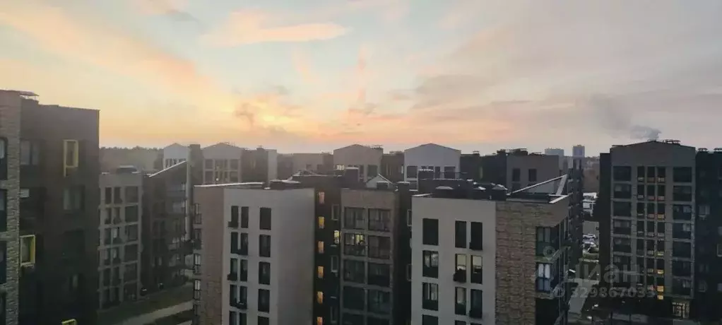 1-к кв. Московская область, Видное бул. Дивный, 1 (30.3 м) - Фото 1