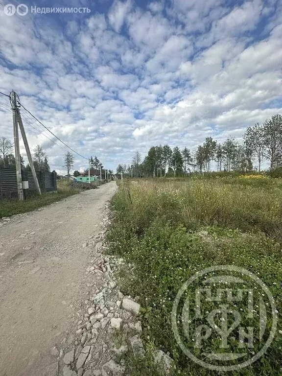 Участок в Колтушское городское поселение, территория Массив Новоселье, ... - Фото 1