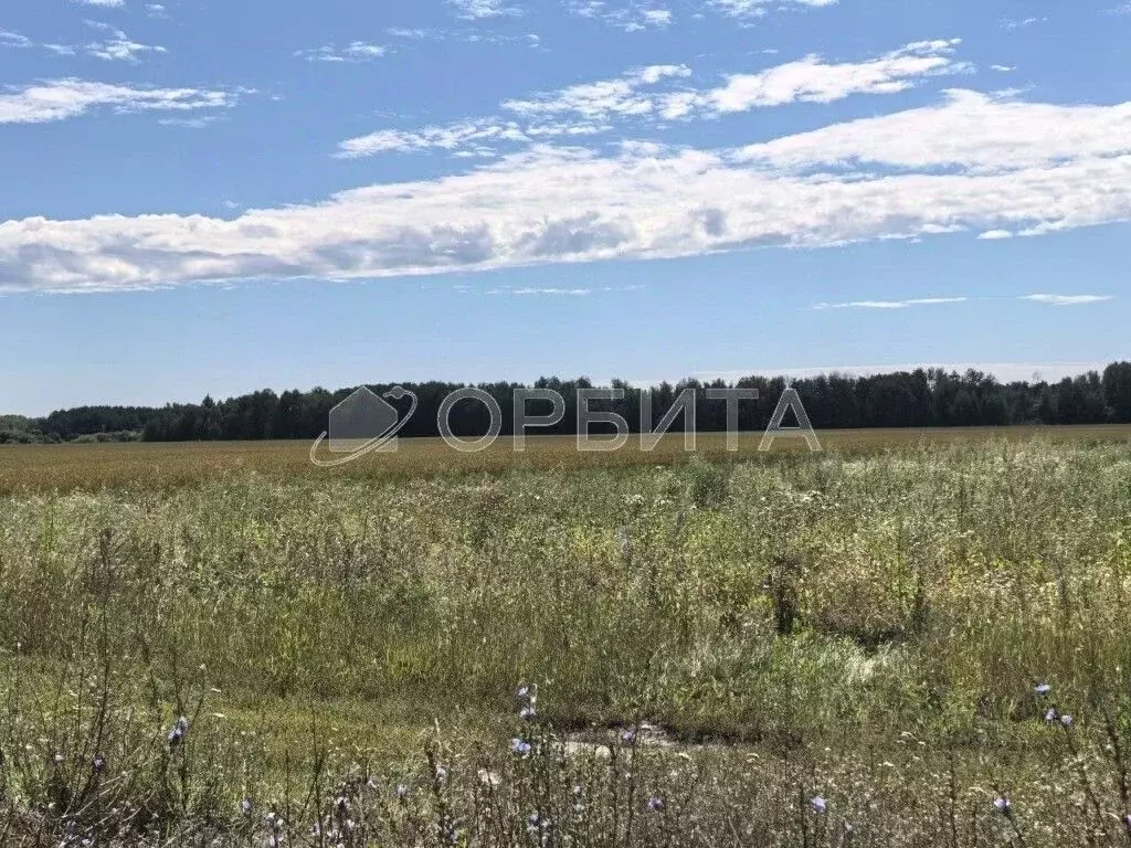 Участок в Тюменская область, Тюменский муниципальный округ, ... - Фото 2