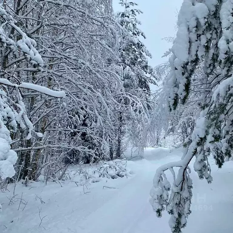 Дом в Новгородская область, Валдайский район, Яжелбицкое с/пос, д. ... - Фото 2