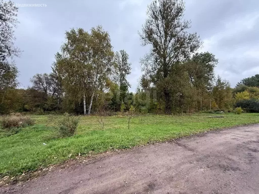 Дом в Ярославль, посёлок Творогово, 10-й проезд (60 м) - Фото 1