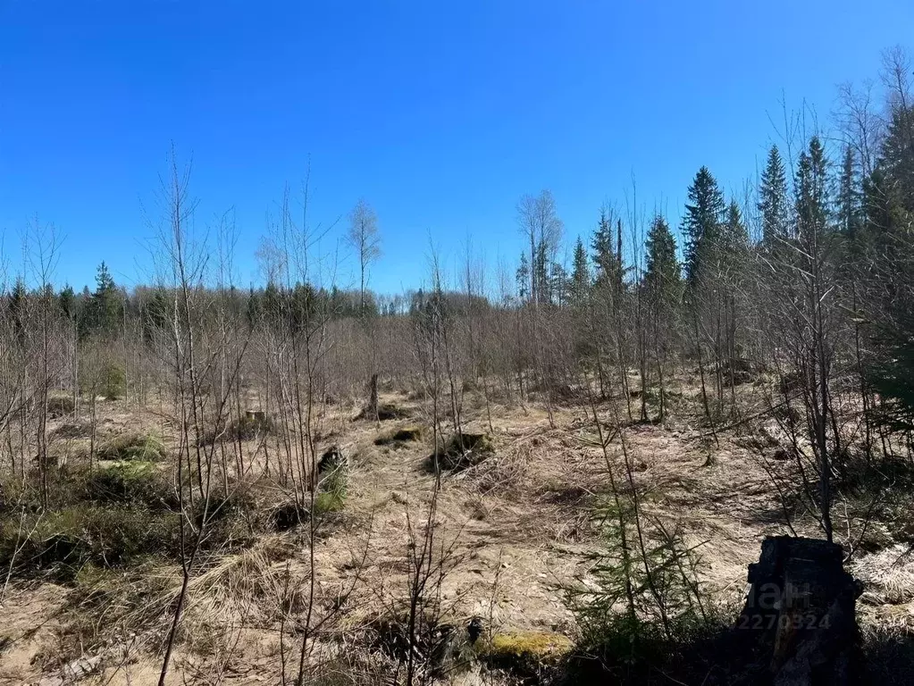 Участок в Карелия, Петрозаводск Древлянка-3 тер., Звездный мкр,  (9.0 ... - Фото 0