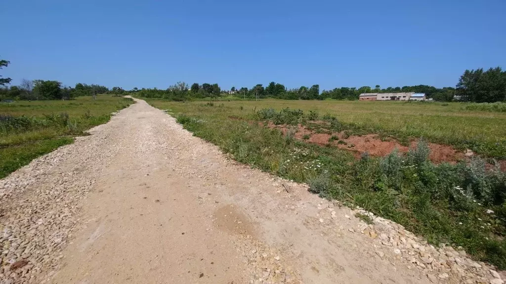 Участок в Нижегородская область, Богородский муниципальный округ, д. ... - Фото 1